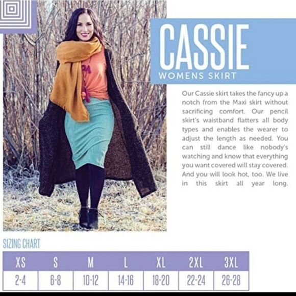 LuLaRoe Cassie Bodycon Skirt Navy Arrow Print Jaquard Stretch Pencil Knee XS 2/4 - Picture 8 of 9